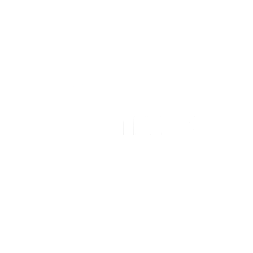 Tieion LLC Logo